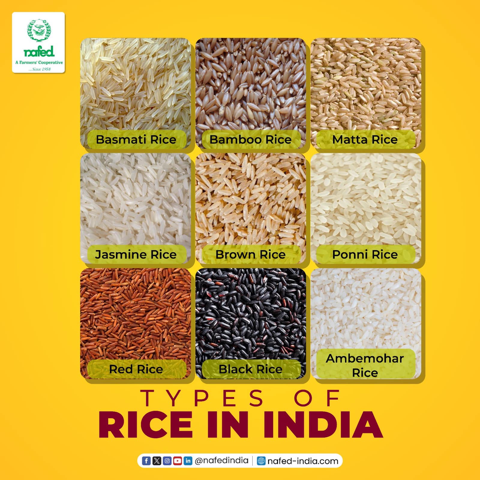 NAFED India - In India, there are many types of rice... | Facebook