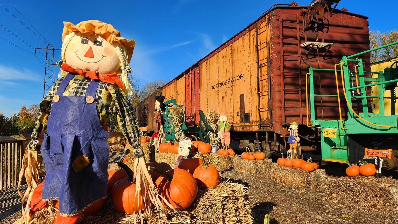 Pumpkin Patch Train Rides