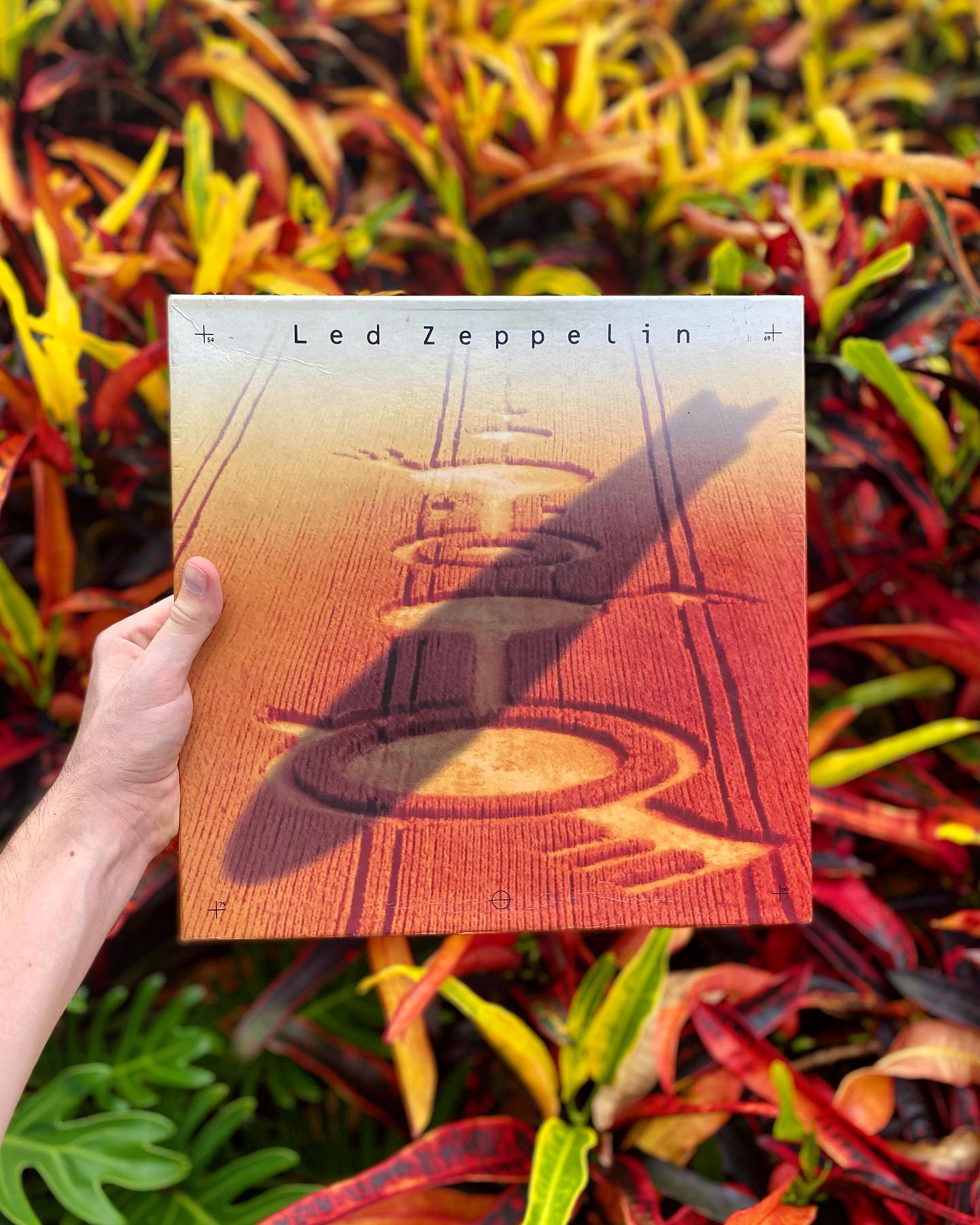 Hey, hey mama! Check out this utterly excellent Led Zeppelin holy 