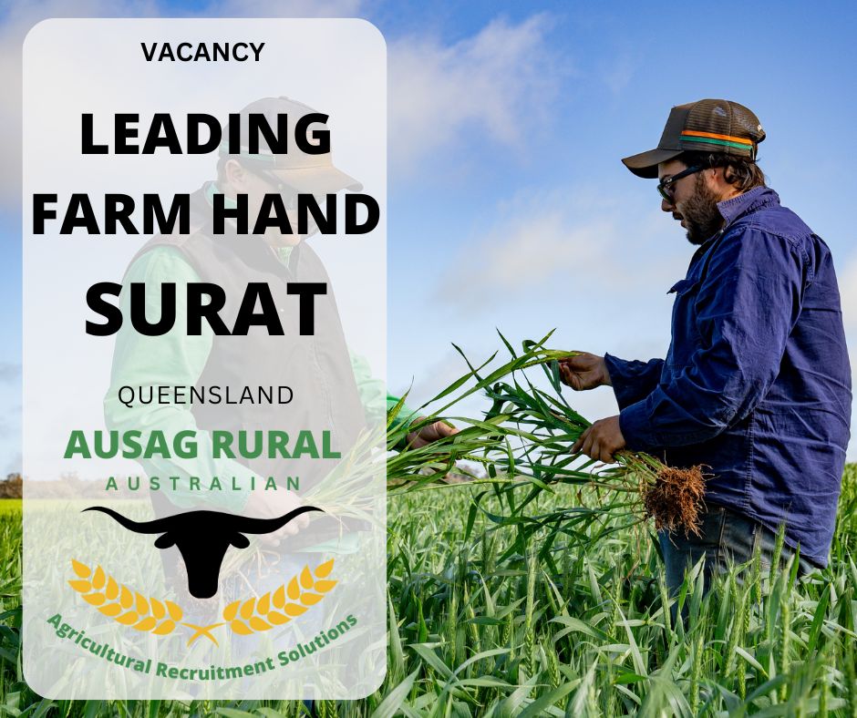 Rex Pastoral Farming | Noorindoo QLD