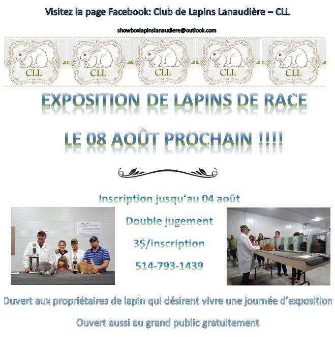 Club de Lapins... - Club de Lapins Lanaudière - CLL