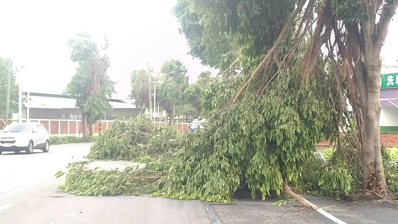 程香活動資訊欄 - 公告:3⇒岡燕路521号前段左右、到24小時加油站前，樹木斷裂倒下慢車道旁、影響行机車安全，請保重路过。