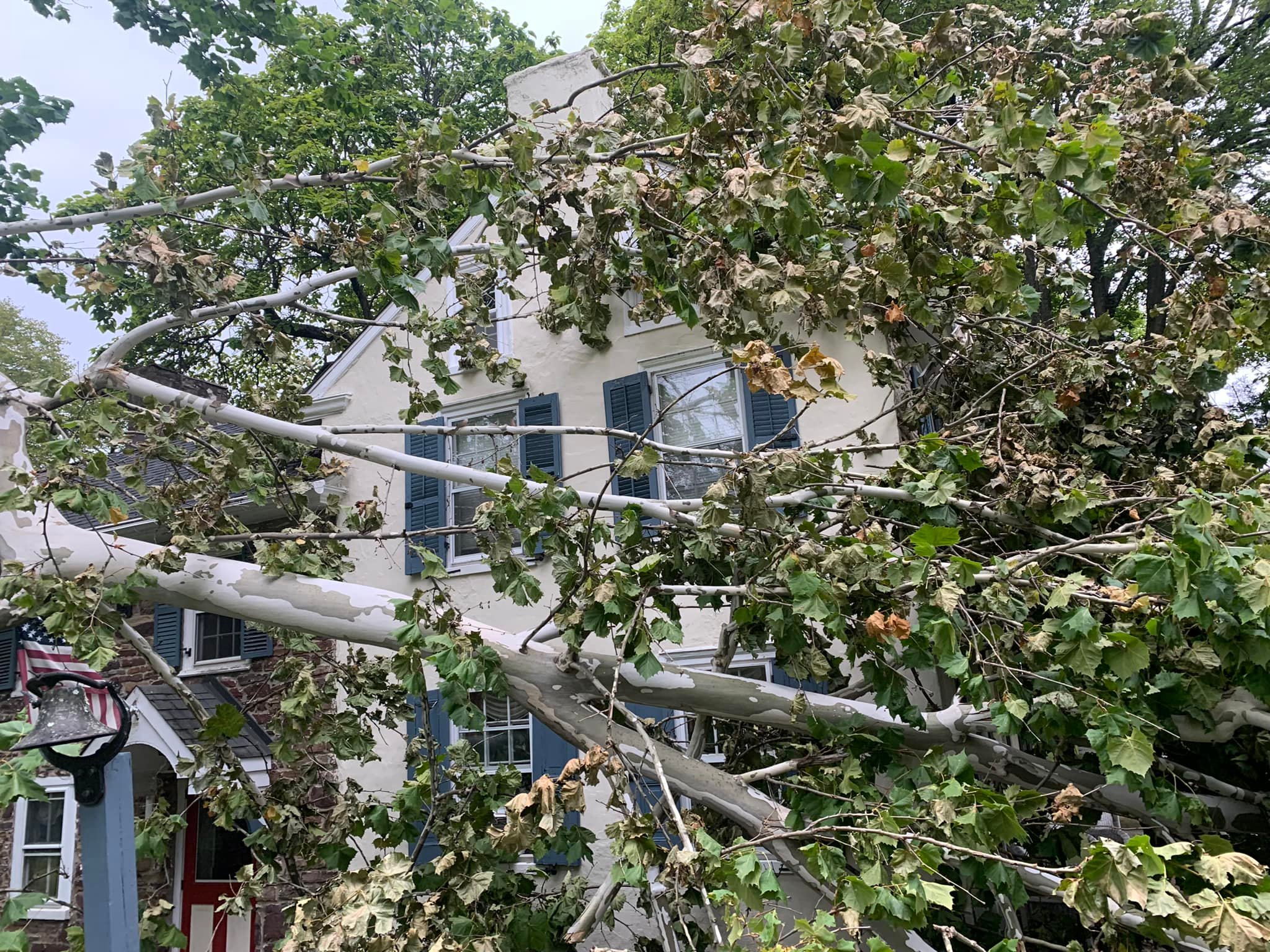 Top notch tree care and landscaping llc | Ivyland PA