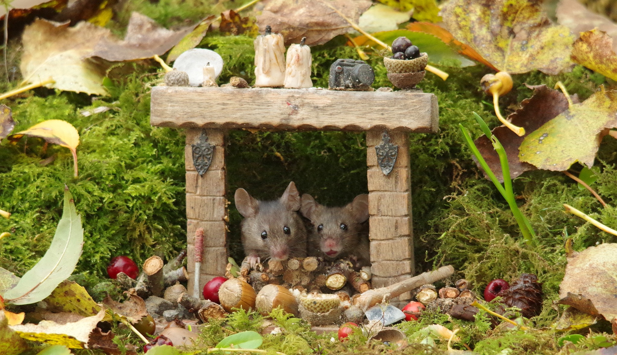 Kissing mice this evening, capturing the moment