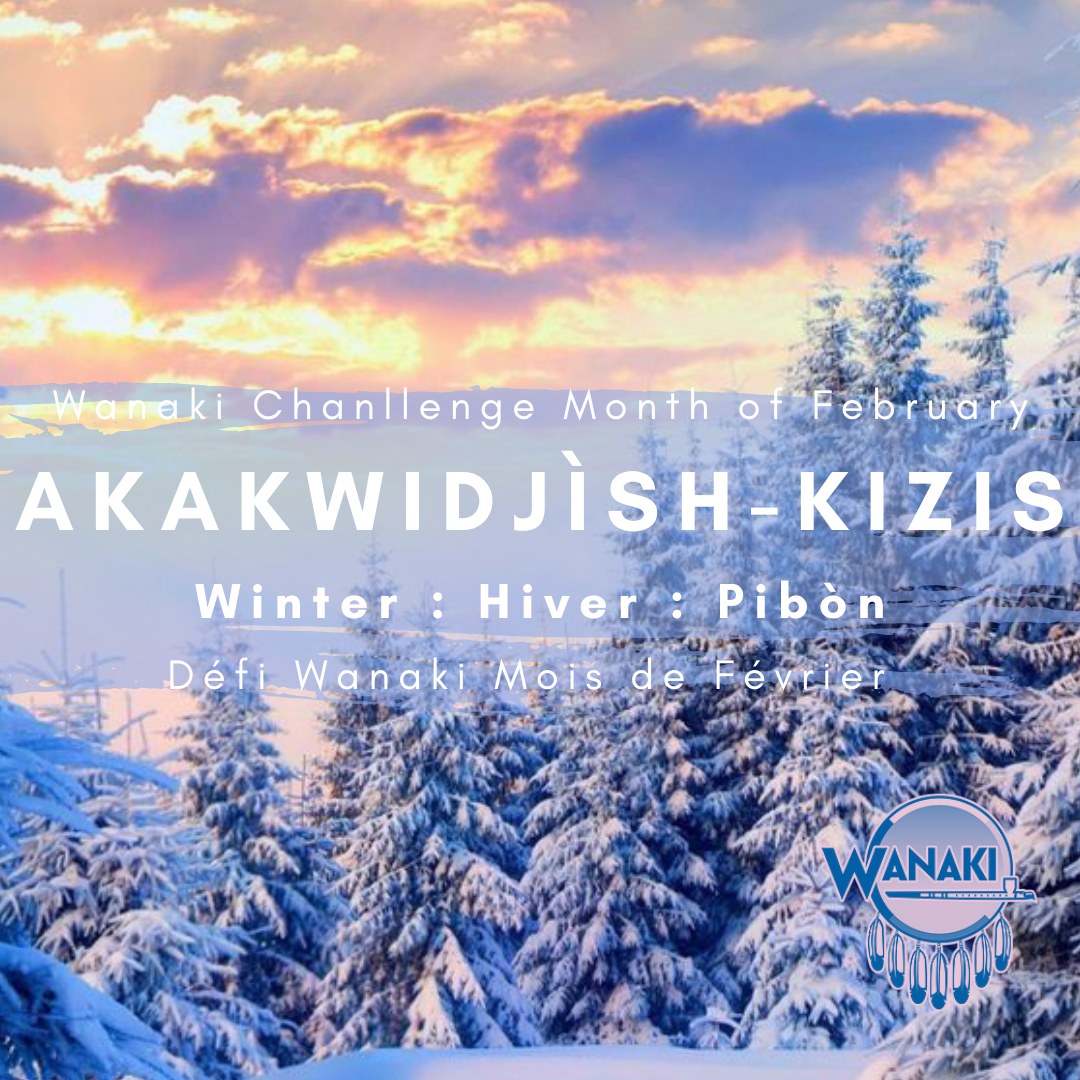 Wanaki Challenge February / Défi Wanaki Février 2026