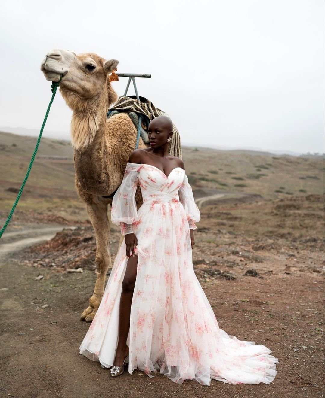 desert formal wedding guest dress Dresses: Fabrics, Styles, and Where to Shop LowStock:43191936942131