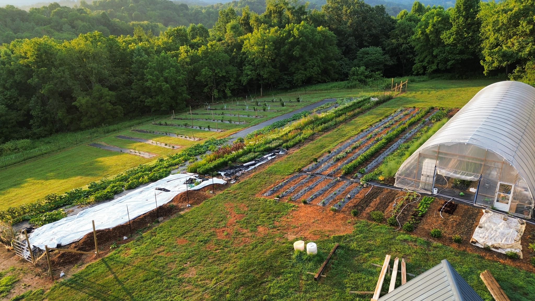 Golden Roots Farm