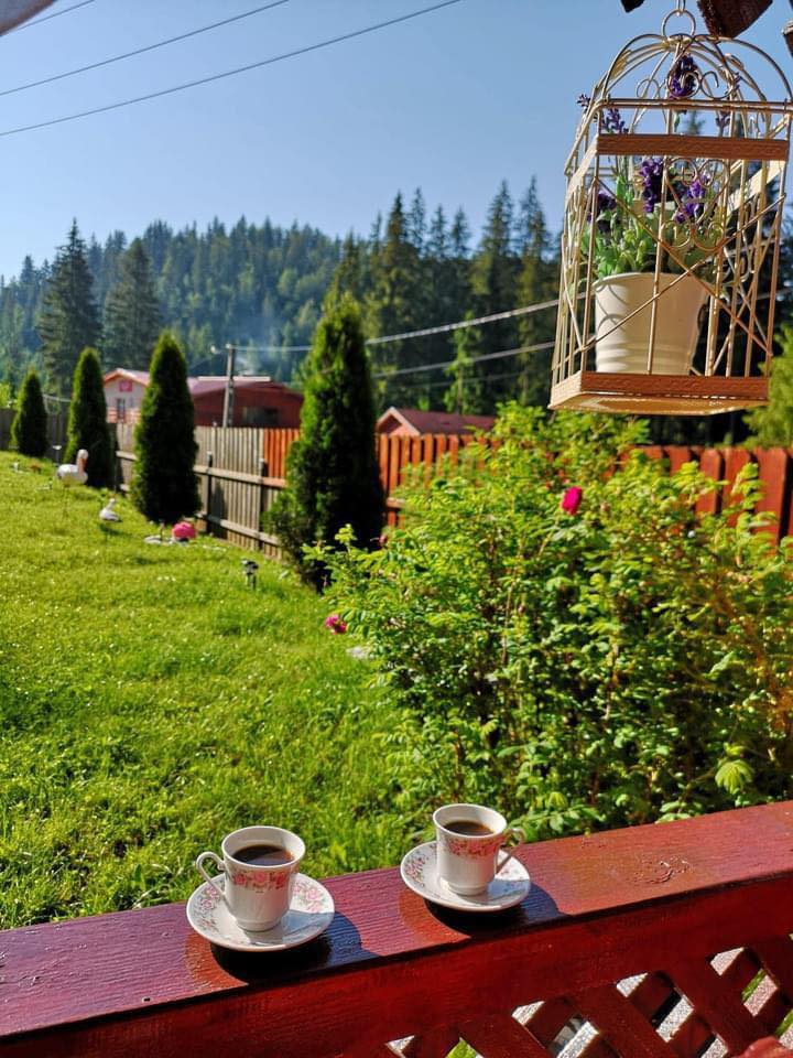 Casuta... - Casuta mea din varf de munte, Ranca/Transalpina