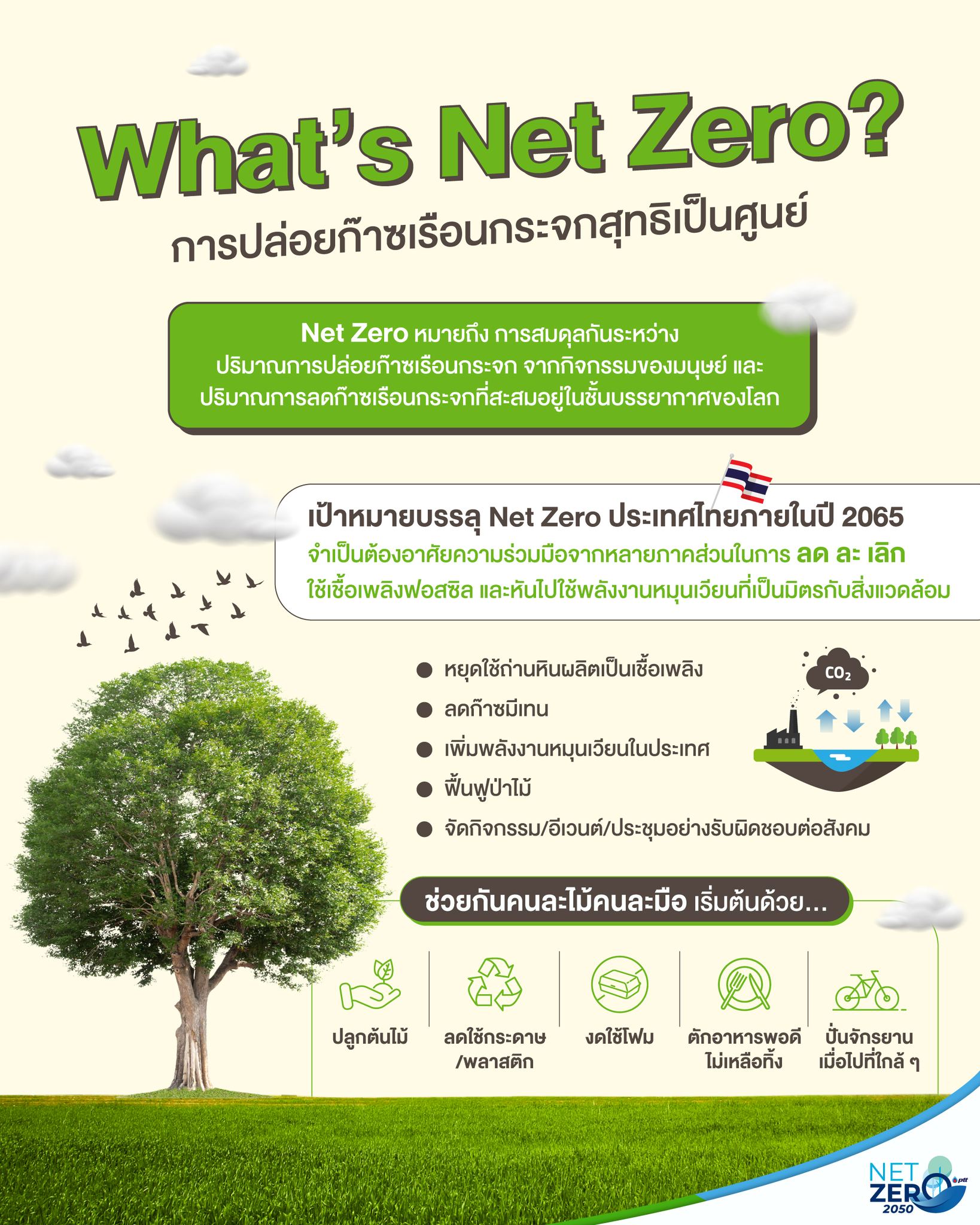PTT News - 🍀 #NetZero คือ... | Facebook