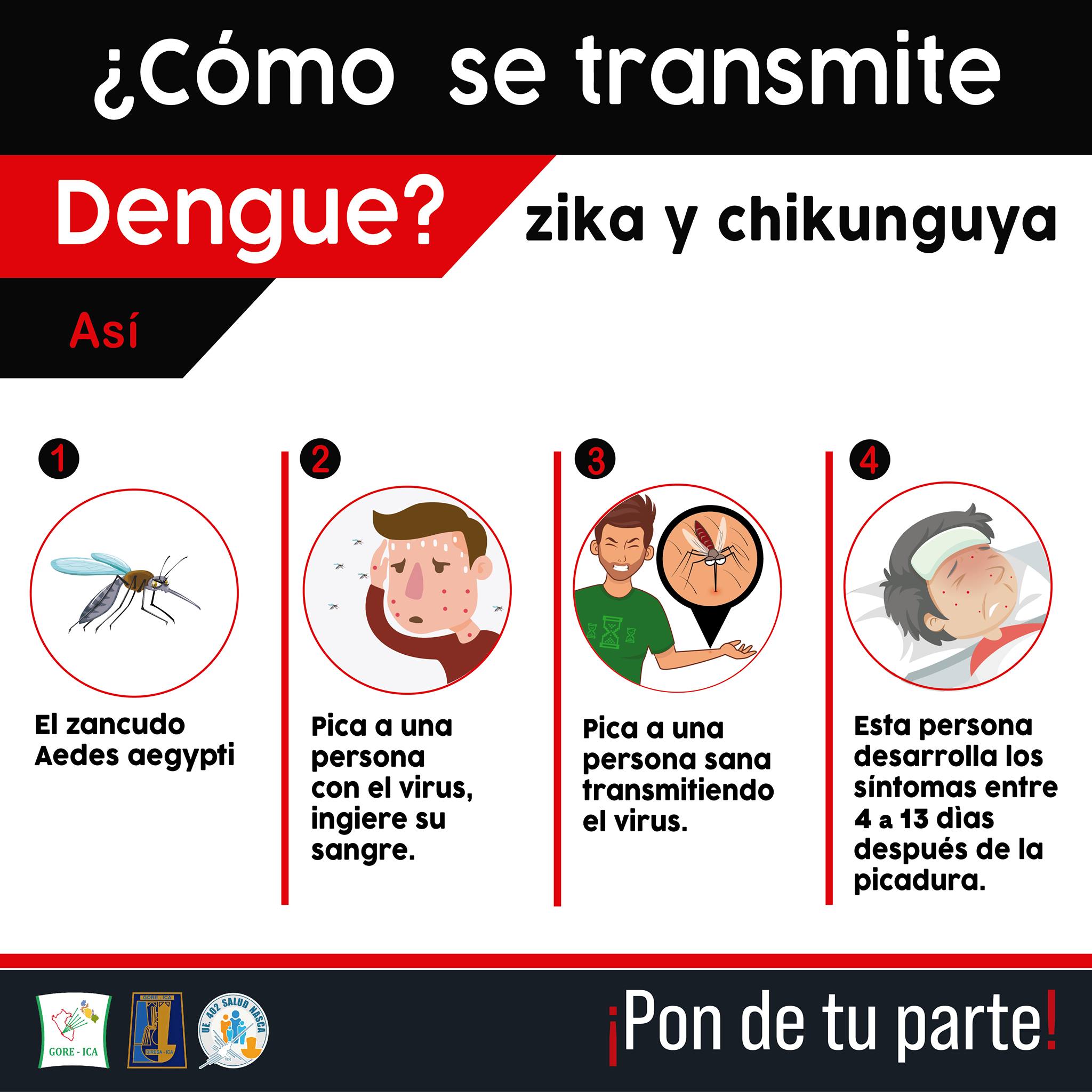 ¿Cómo se transmite el... - Hospital Ricardo Cruzado Rivarola | Facebook