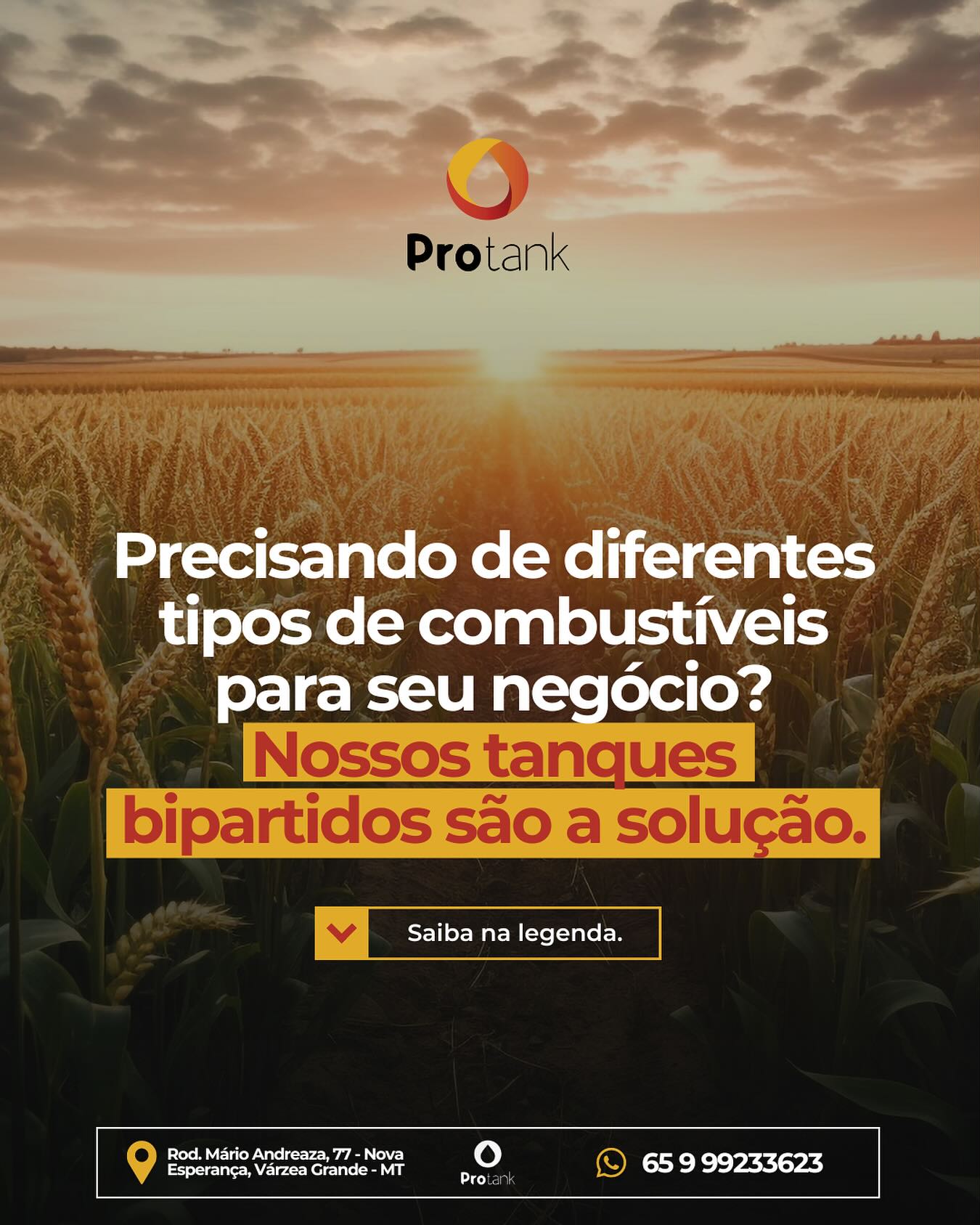 protank_br