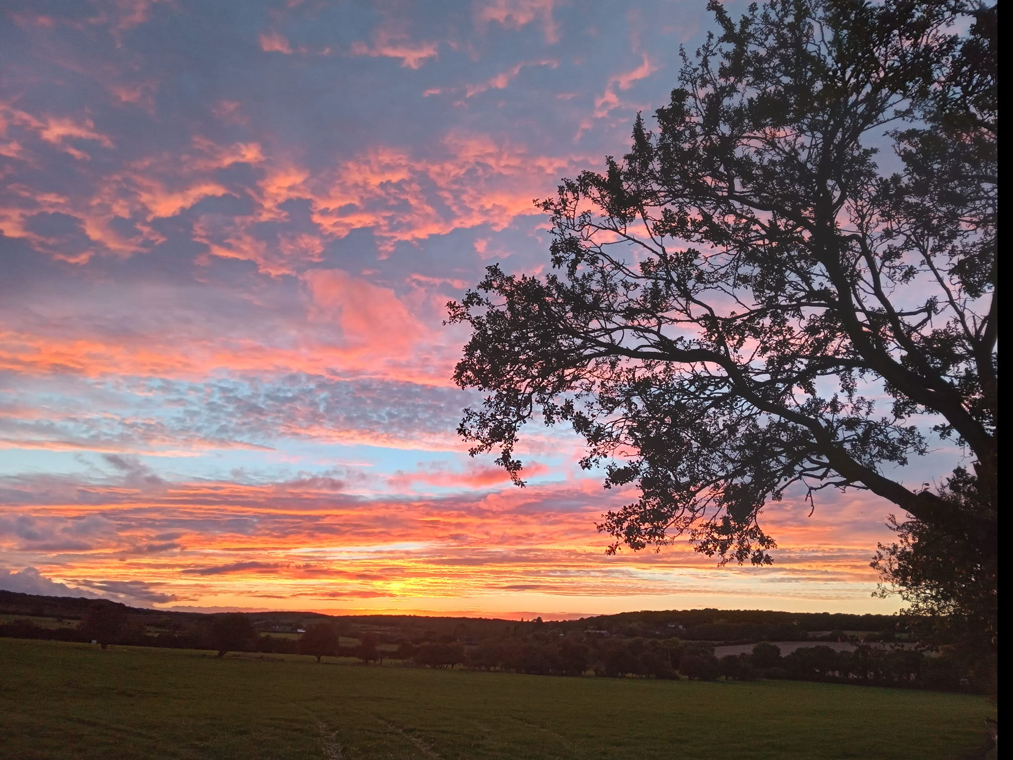 Chapter Farm Holiday Cottages & Glamping | Canterbury