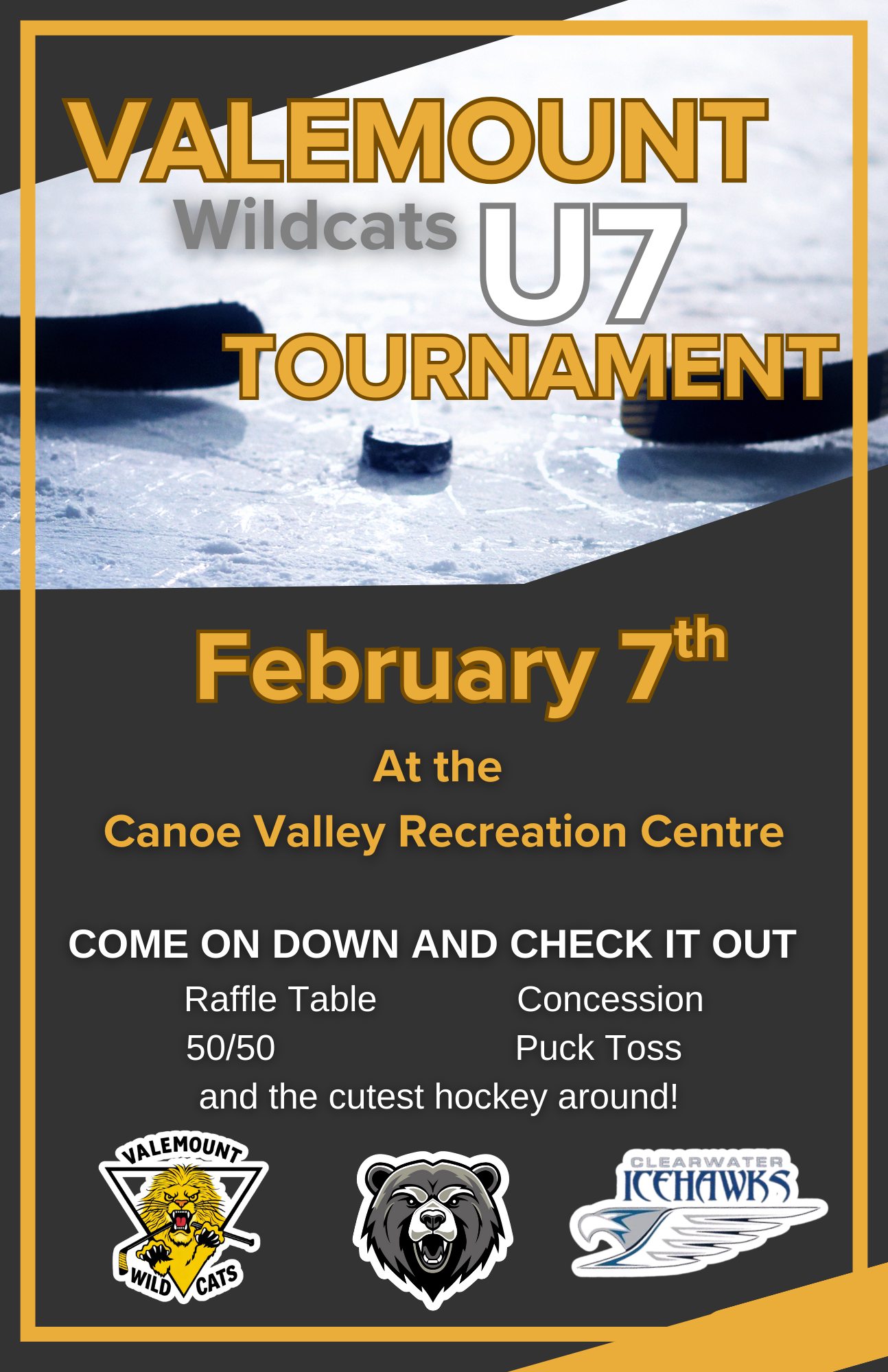 Valemount Minor Hockey Association