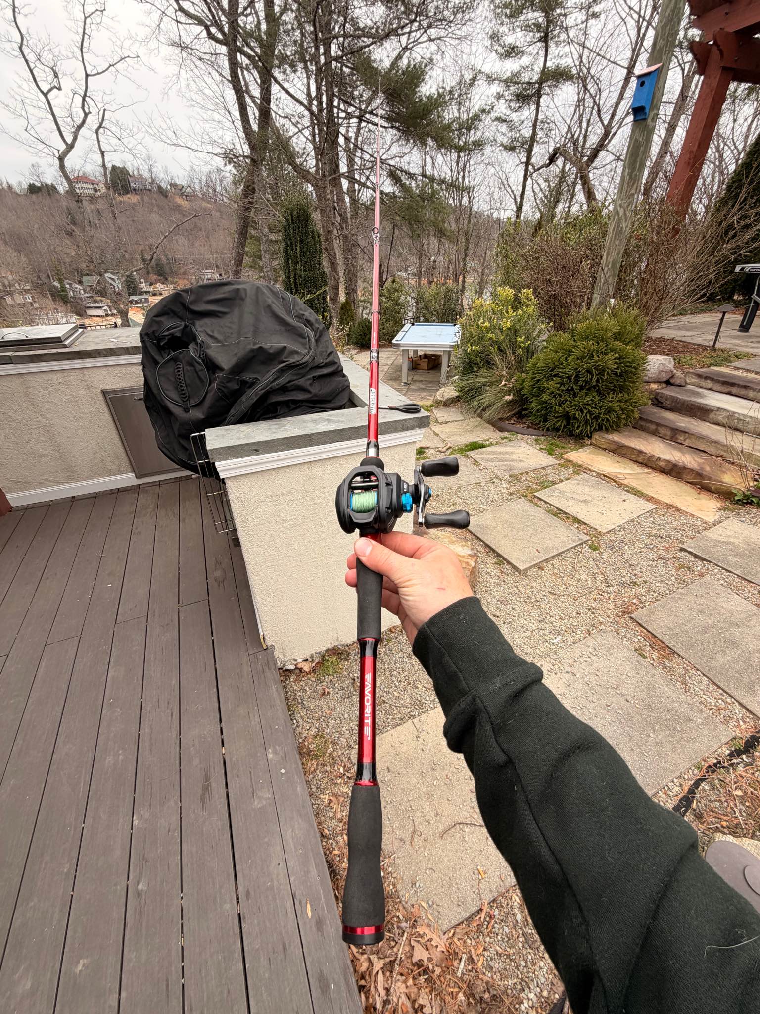 Favorite Absolute rod - Fishing Rods - Lake Lure, North Carolina ...