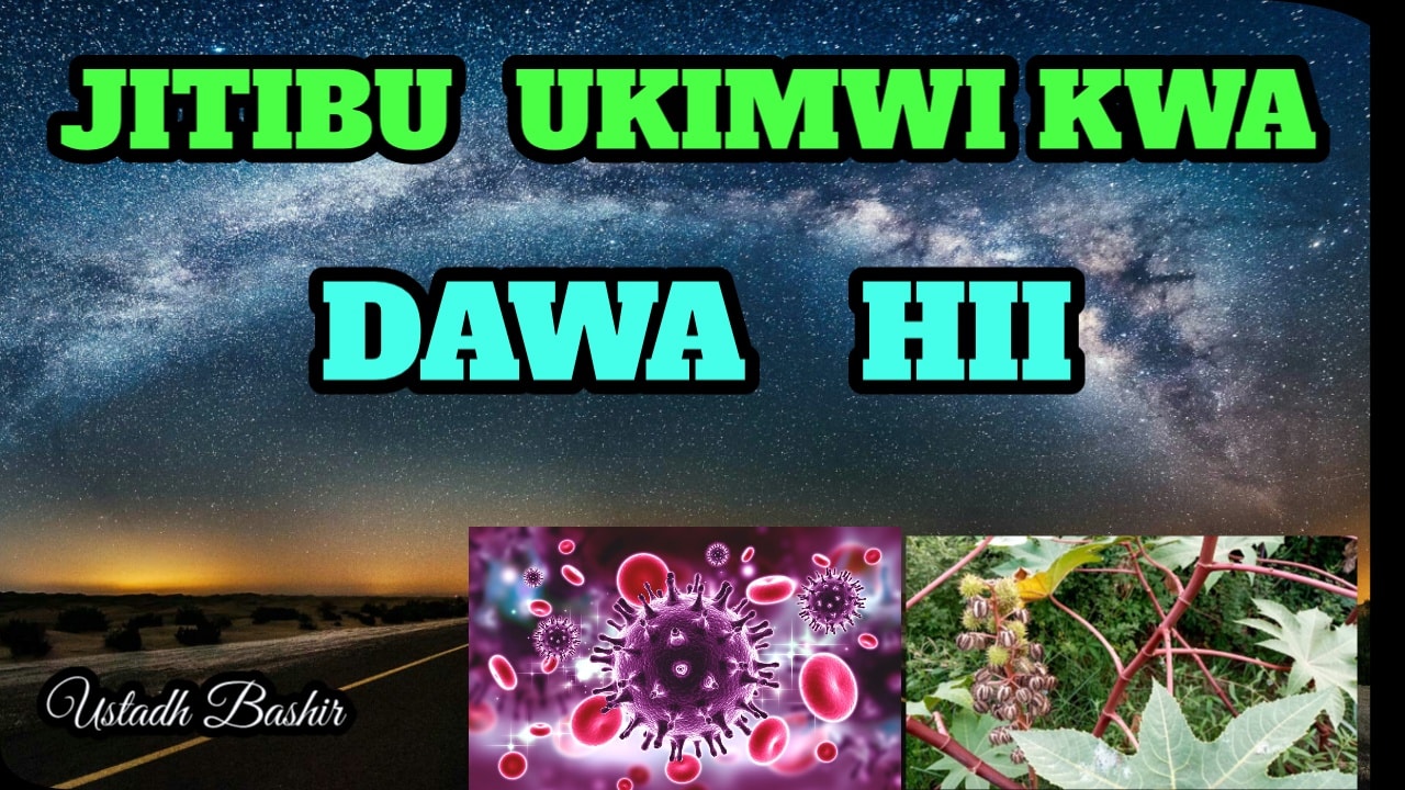 Tiba Facts | Mpanda