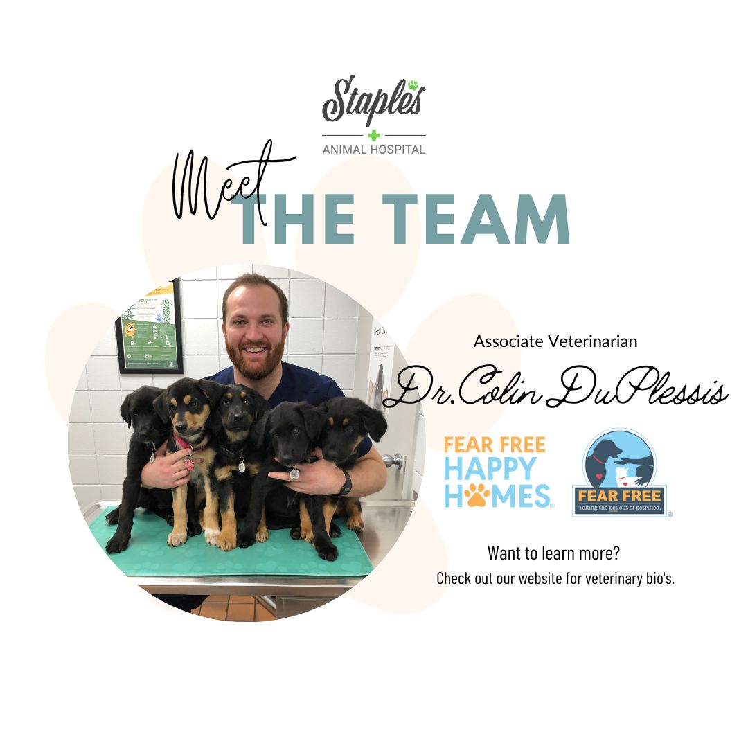 MEET THE TEAM👨‍⚕️ Dr. Colin... - Staples Animal Hospital | Facebook
