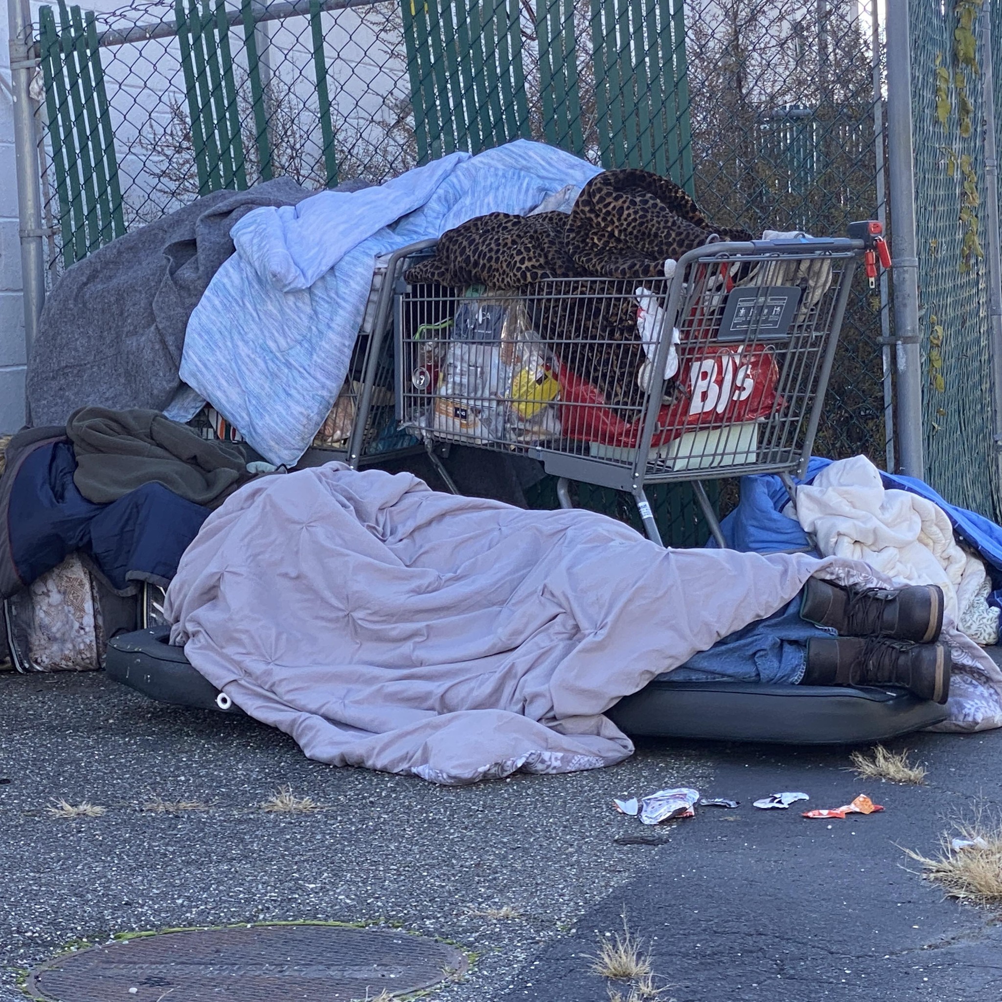 HOMELESS - at RISK or in Need on LONG ISLAND - HELP w/ DSS & housing ...