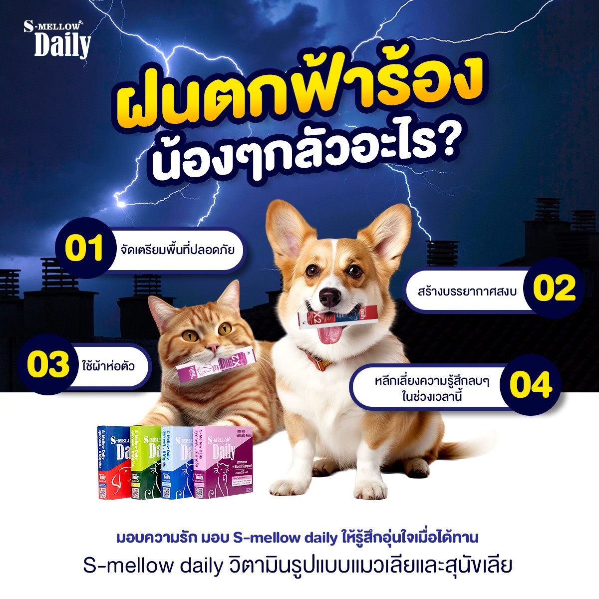 S-Mellow - 🦮ฝนตกก็ไม่เป็นไร... | Facebook