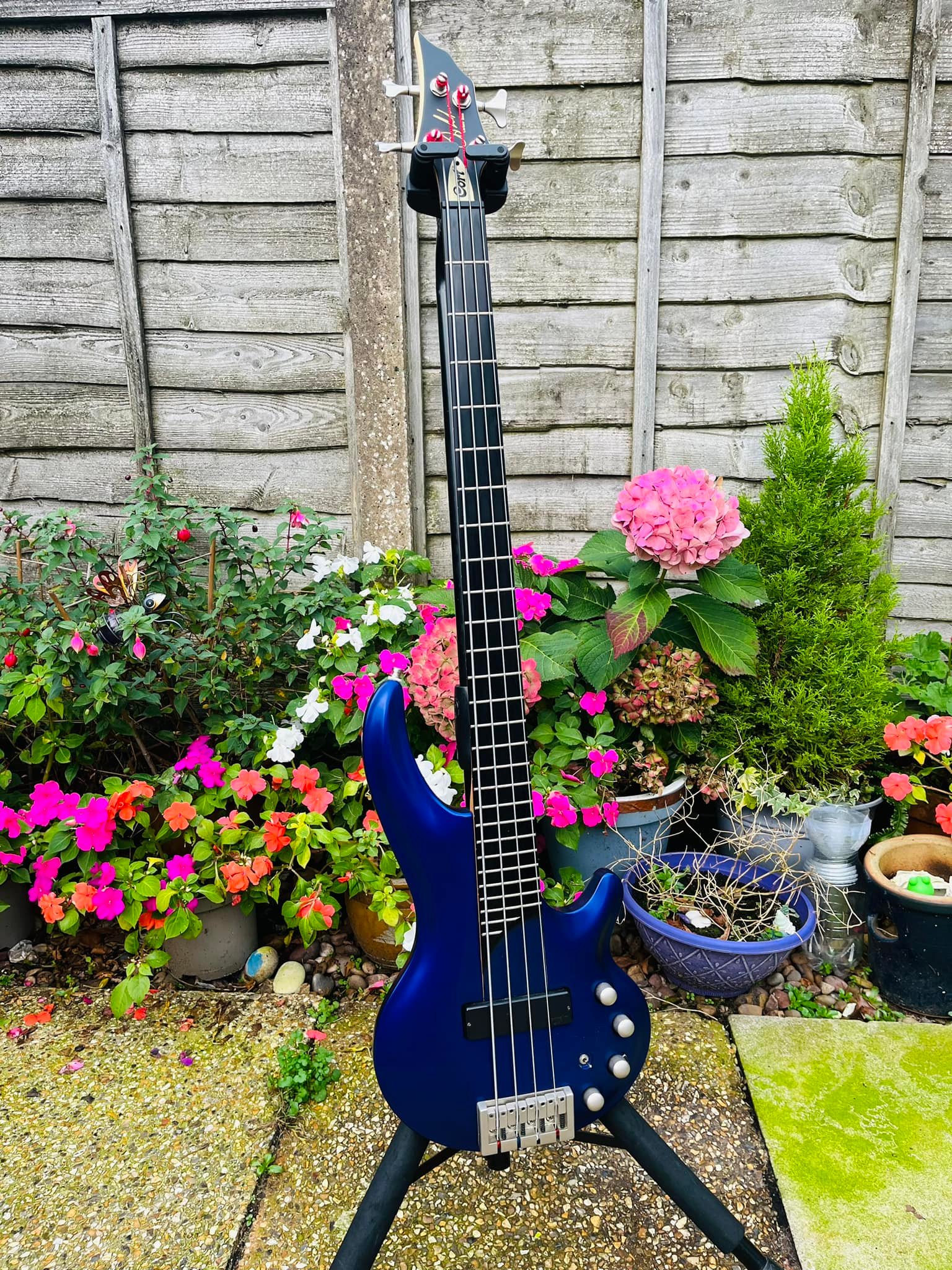 Cort Curbow 4 AL bass review