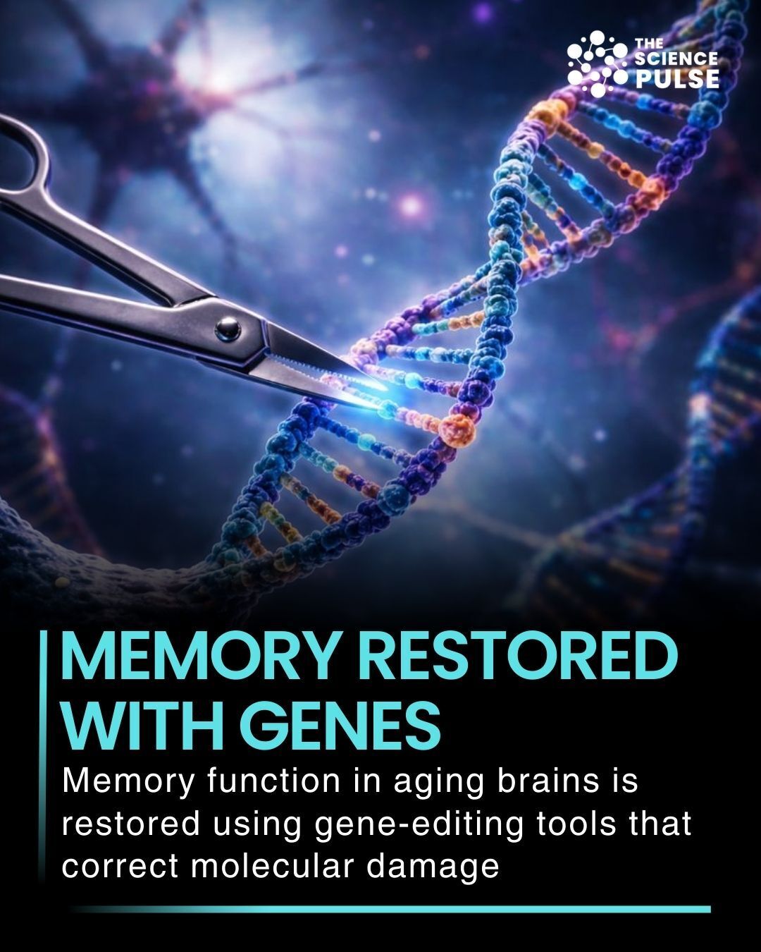 The Science - Scientists have made a groundbreaking breakthrough in ...