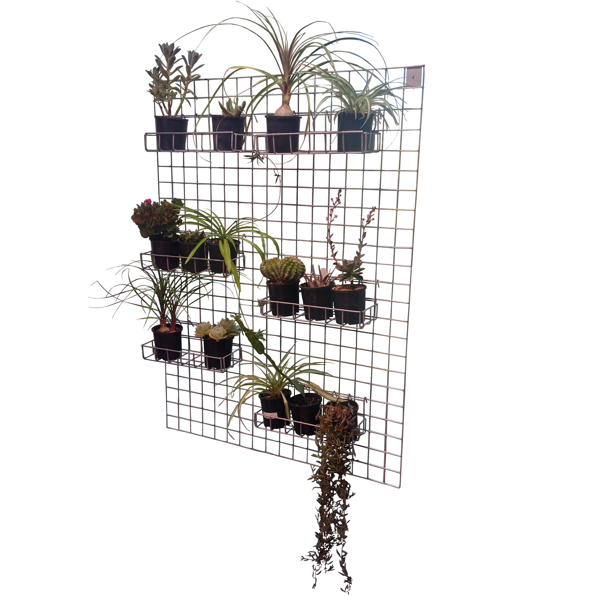 Argosee Greenhouse Technology | Walliston WA