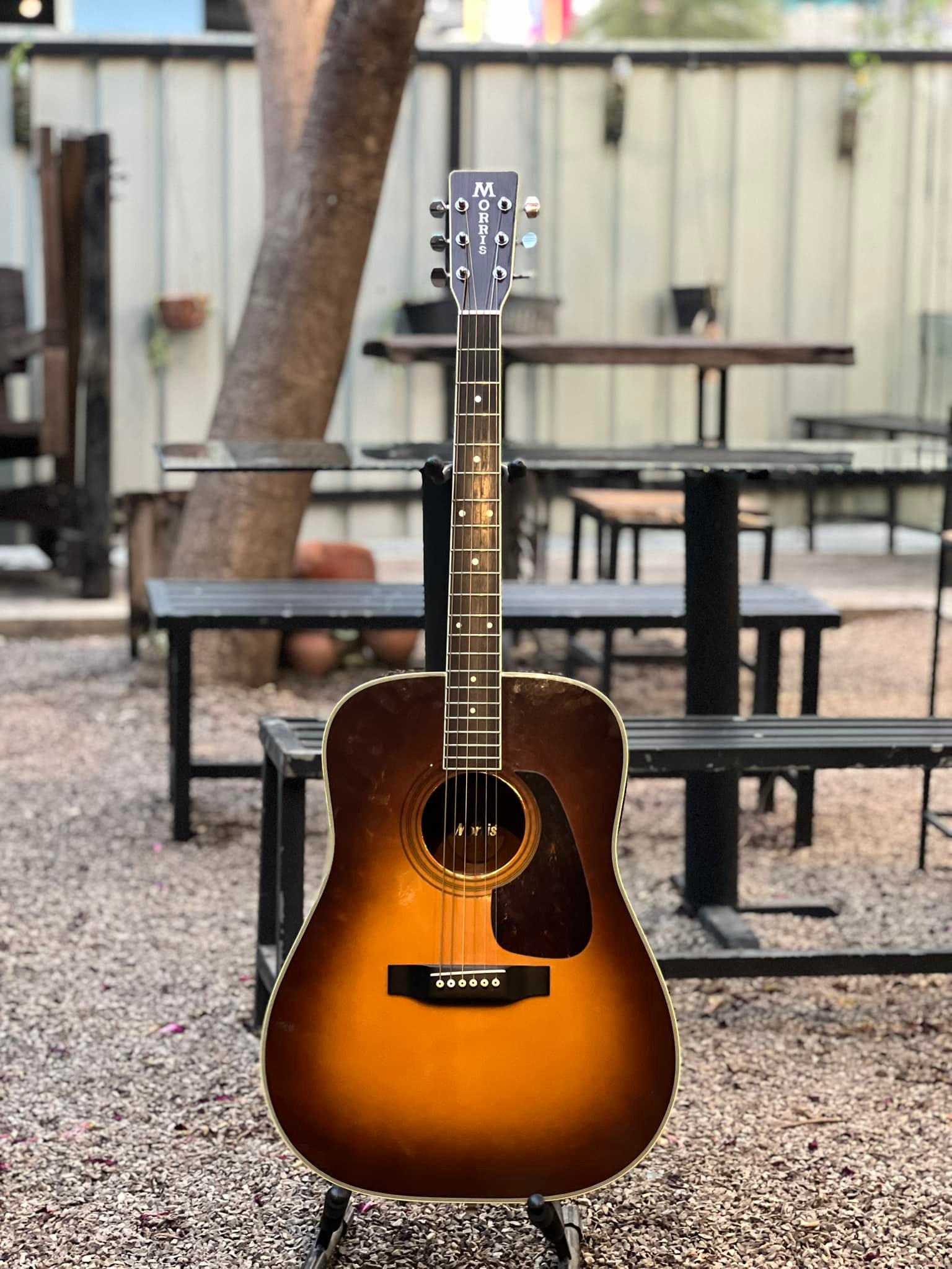 Morris W 15 Vintage Japan Acoustic Guitar Guitar Details 🎸 Brand