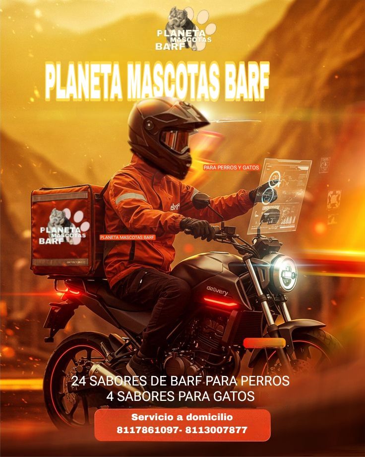 Planeta Mascotas | Monterrey Centro