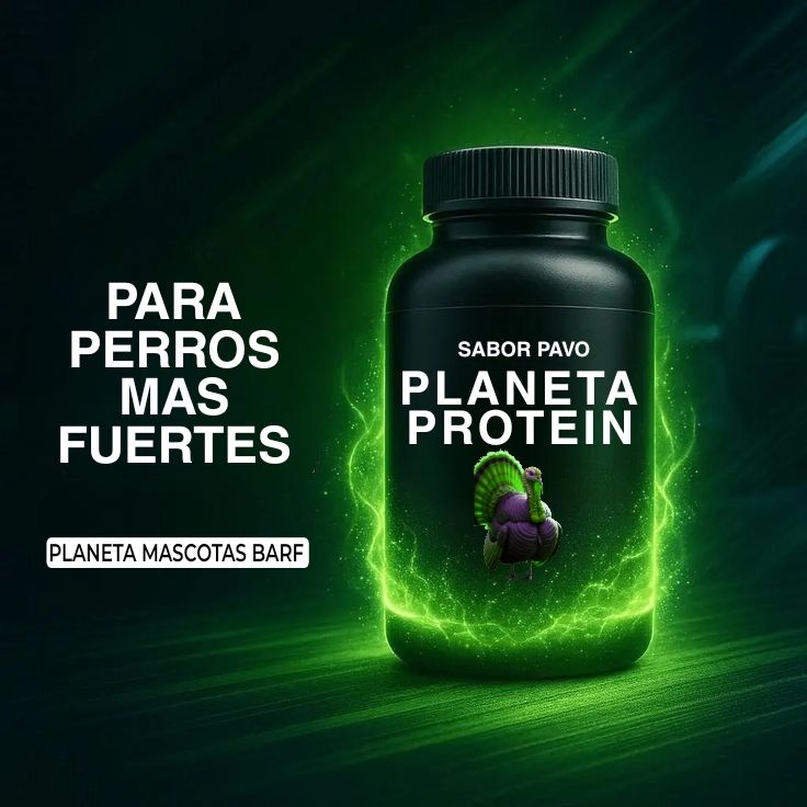 Planeta Mascotas | Monterrey Centro