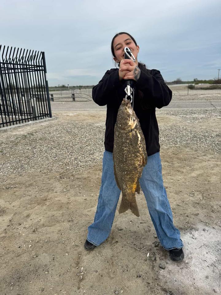 carp fishing hooking up Hair Rigs Carp Fishing Accessories Set Carp Sinker Weights Carp Rig Set Carp Hooks Corn Bait Leader Rigs for Carp Bass Catfish Carp Tackle Rigs(Type A-2oz) What role does lead play