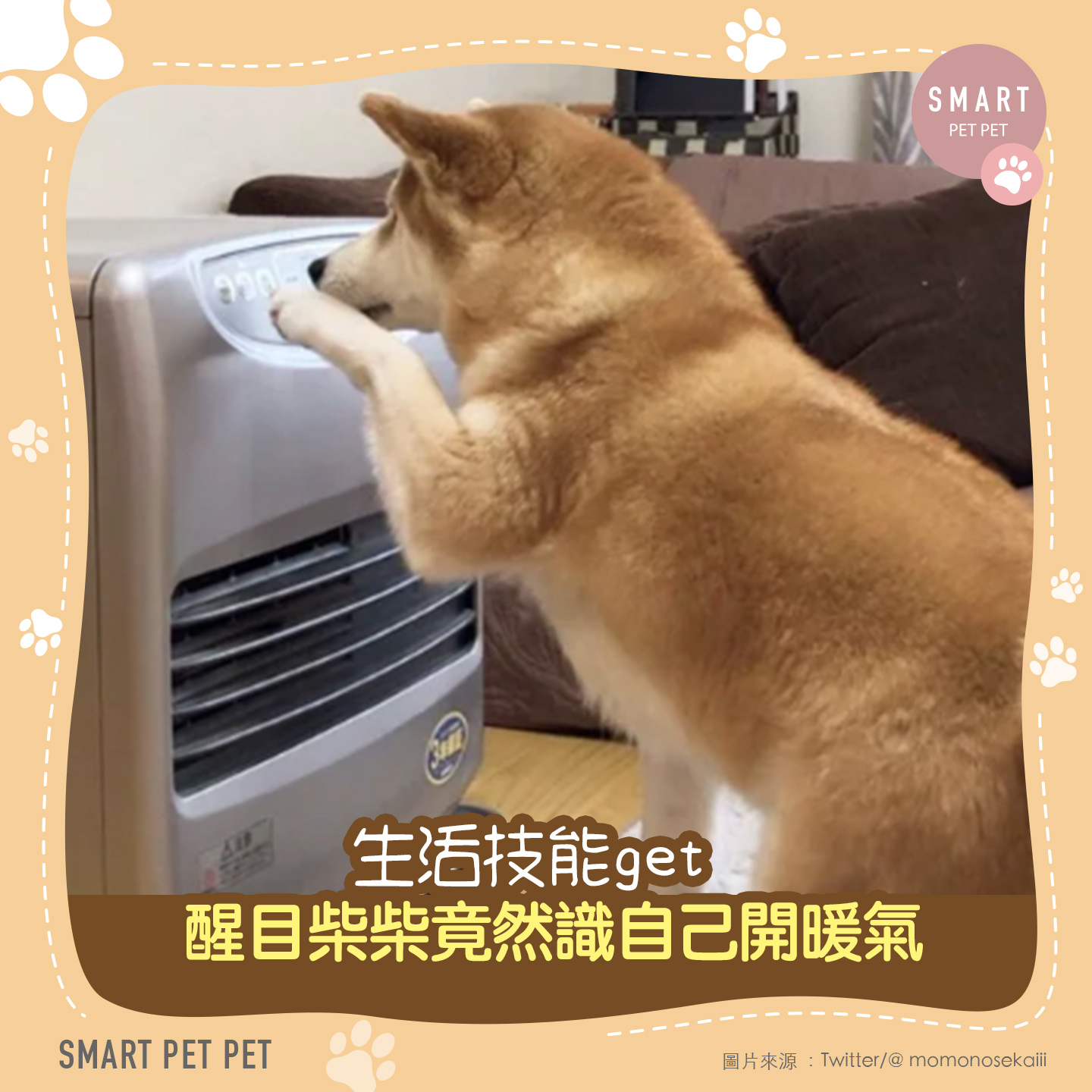 Smart Pet Pet - 【生活技能get 醒目柴柴竟然識自己開暖氣】...