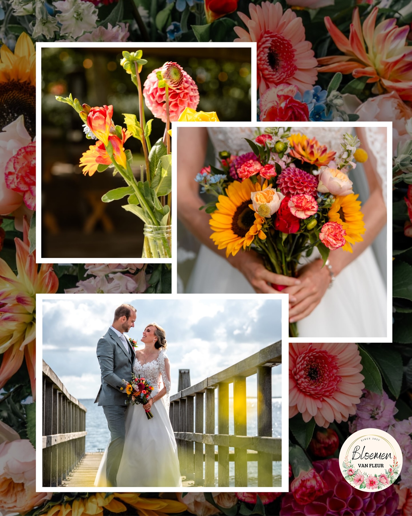 Bloemen - 𝐉𝐮𝐥𝐥𝐢𝐞 𝐠𝐫𝐨𝐭𝐞 𝐝𝐚𝐠 𝐛𝐞𝐠𝐢𝐧𝐭 𝐦𝐞𝐭 𝐝𝐞 𝐣𝐮𝐢𝐬𝐭𝐞 𝐛𝐥𝐨𝐞𝐦𝐞𝐧 🌹 De eerste ...