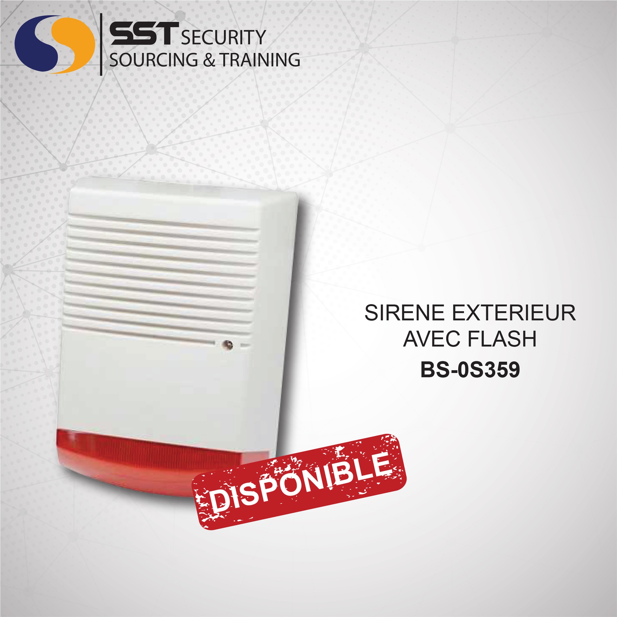 SST Security Sourcing & Training