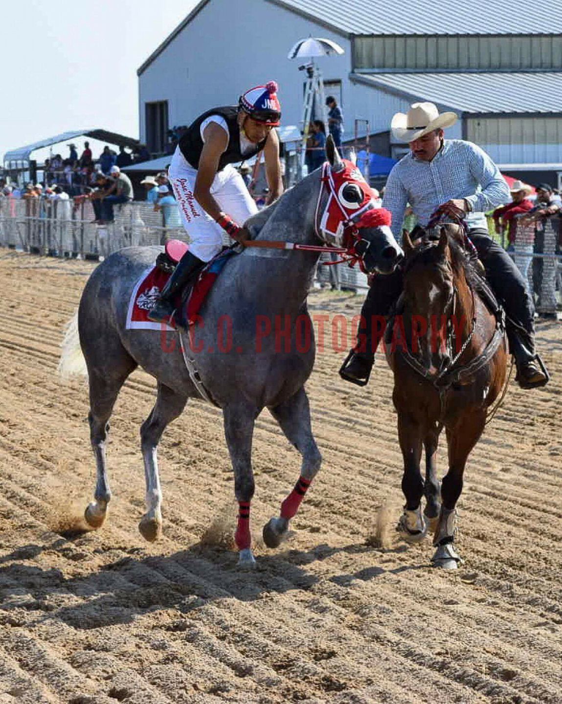 El Moro Nevado De La Cuadra... - Caballos Ligeros De Chicago