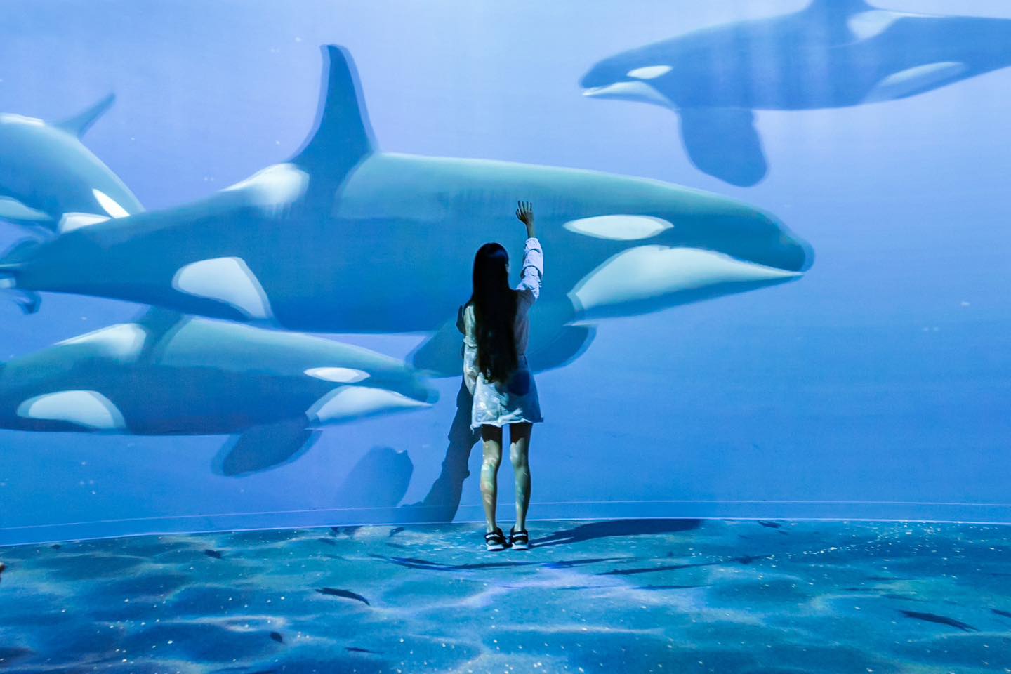 AOAO Sapporo is Sapporo's newest urban aquarium located right in