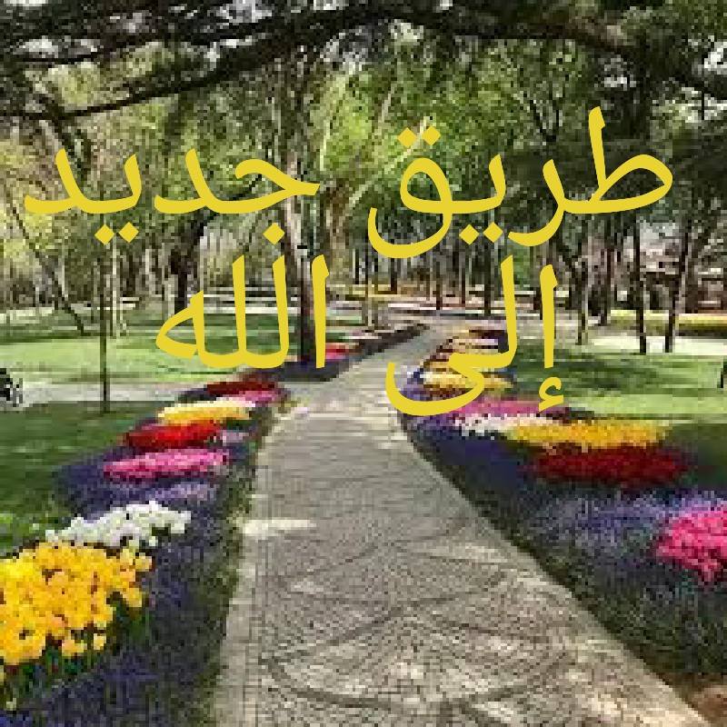 نسمات عطره - حديث قدسي صحيح البخاري كتاب تفسير القرآن سُورَةُ قُلْ هُوَ ...