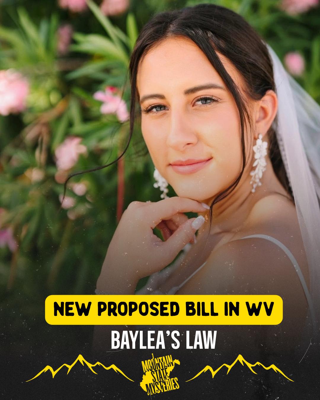Mountain - A new bill introduced in the West Virginia House of ...