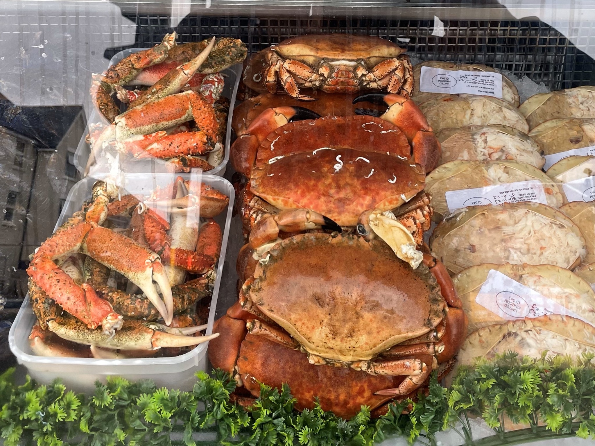 Bognor - OPEN TOMORROW from 9am [Friday], with a seasonal offer on bass ...