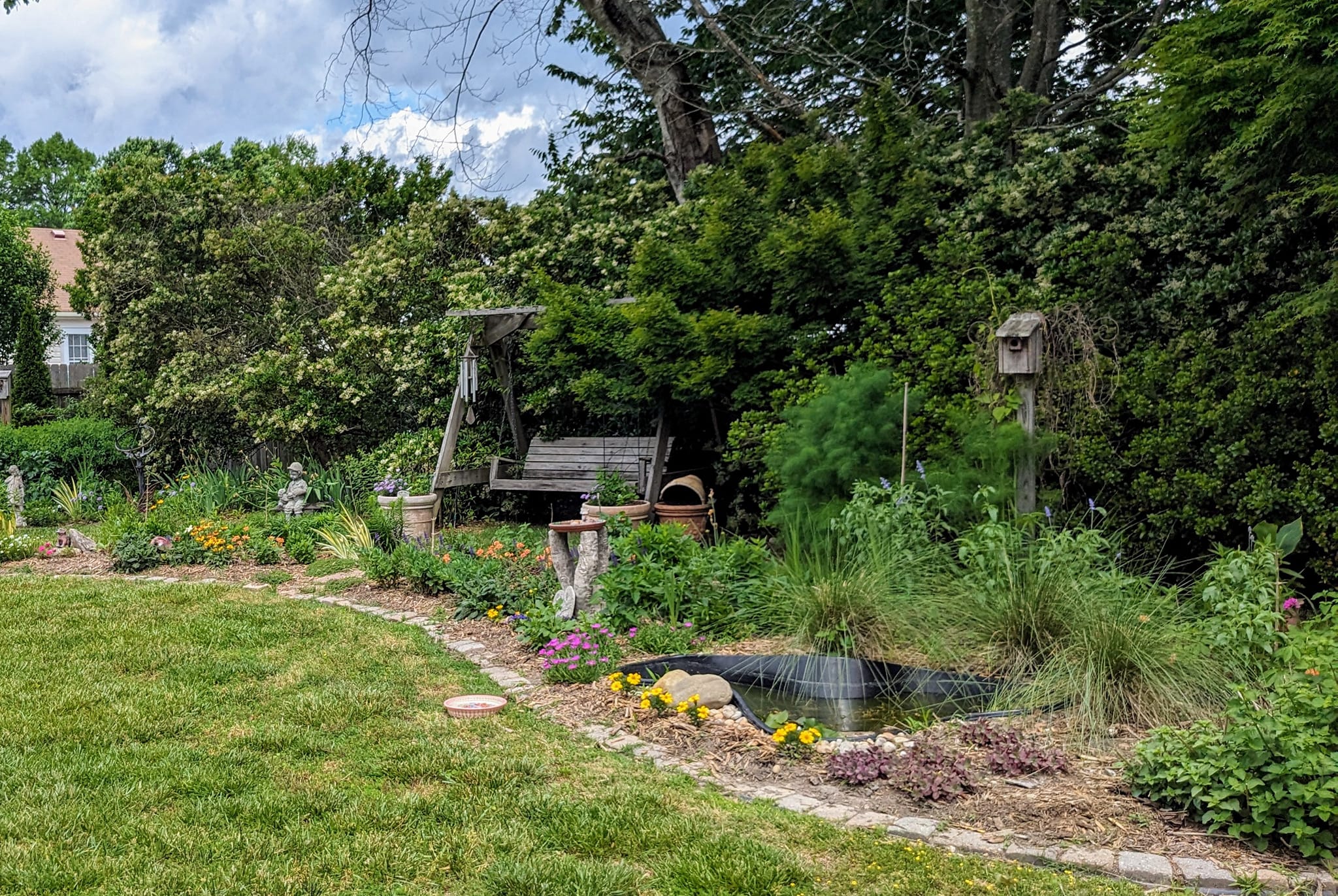 Virginia Native Plant Society Group | I’m looking for ideas on native ...