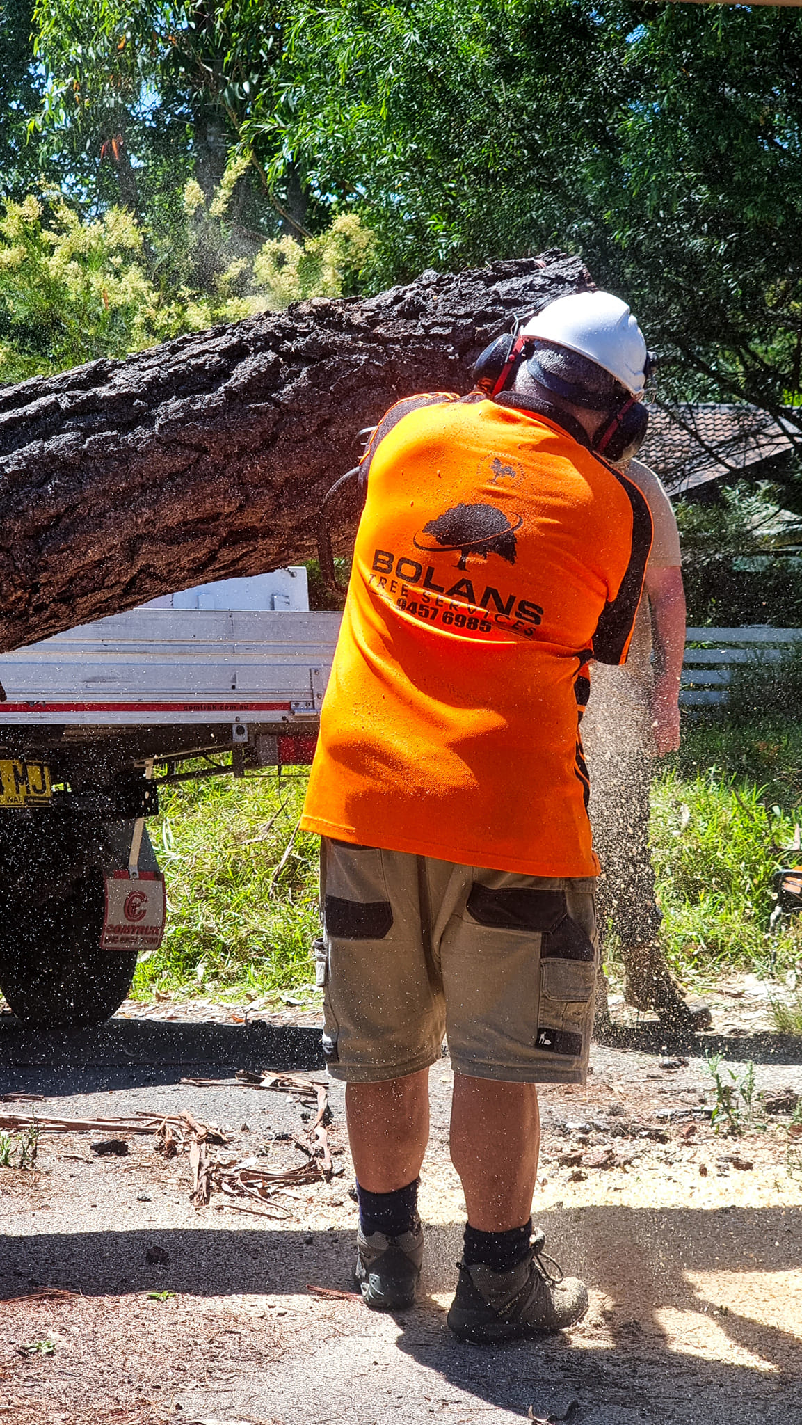Bolans Residential & Strata Tree Services | Mount Kuring-Gai NSW