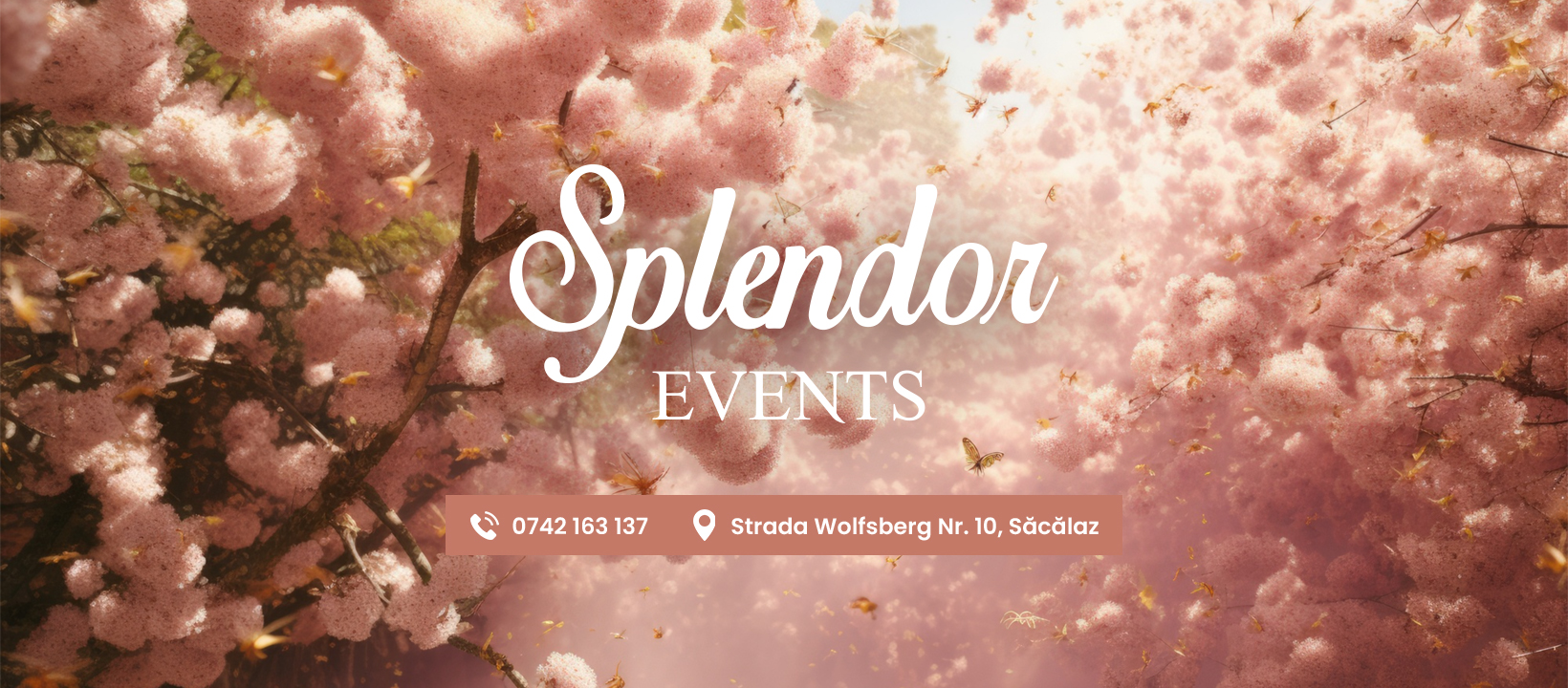 Splendor Events | Sacalaz