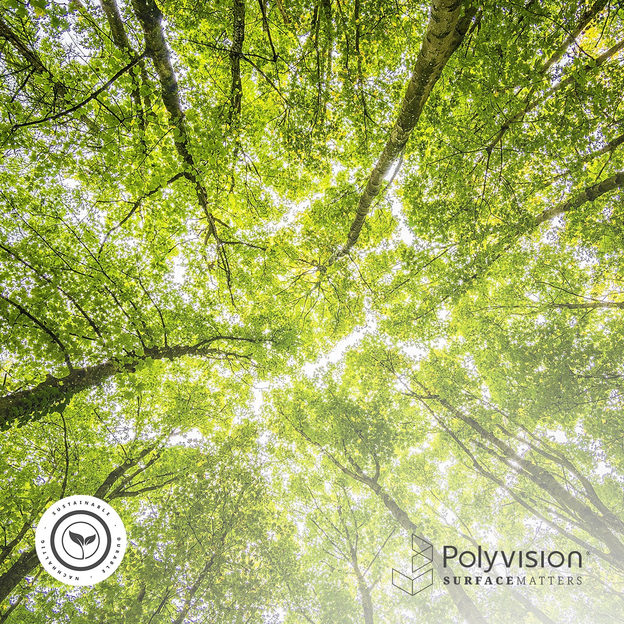 Polyvision - 🌍 Sustainability at Polyvision Our... | Facebook