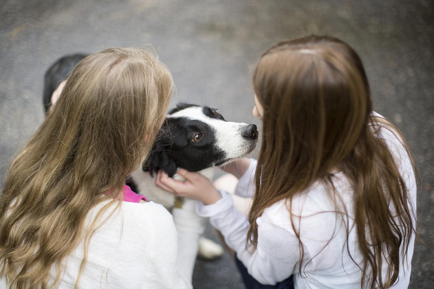 Nebr... - Nebraska Professional Program in Veterinary Medicine