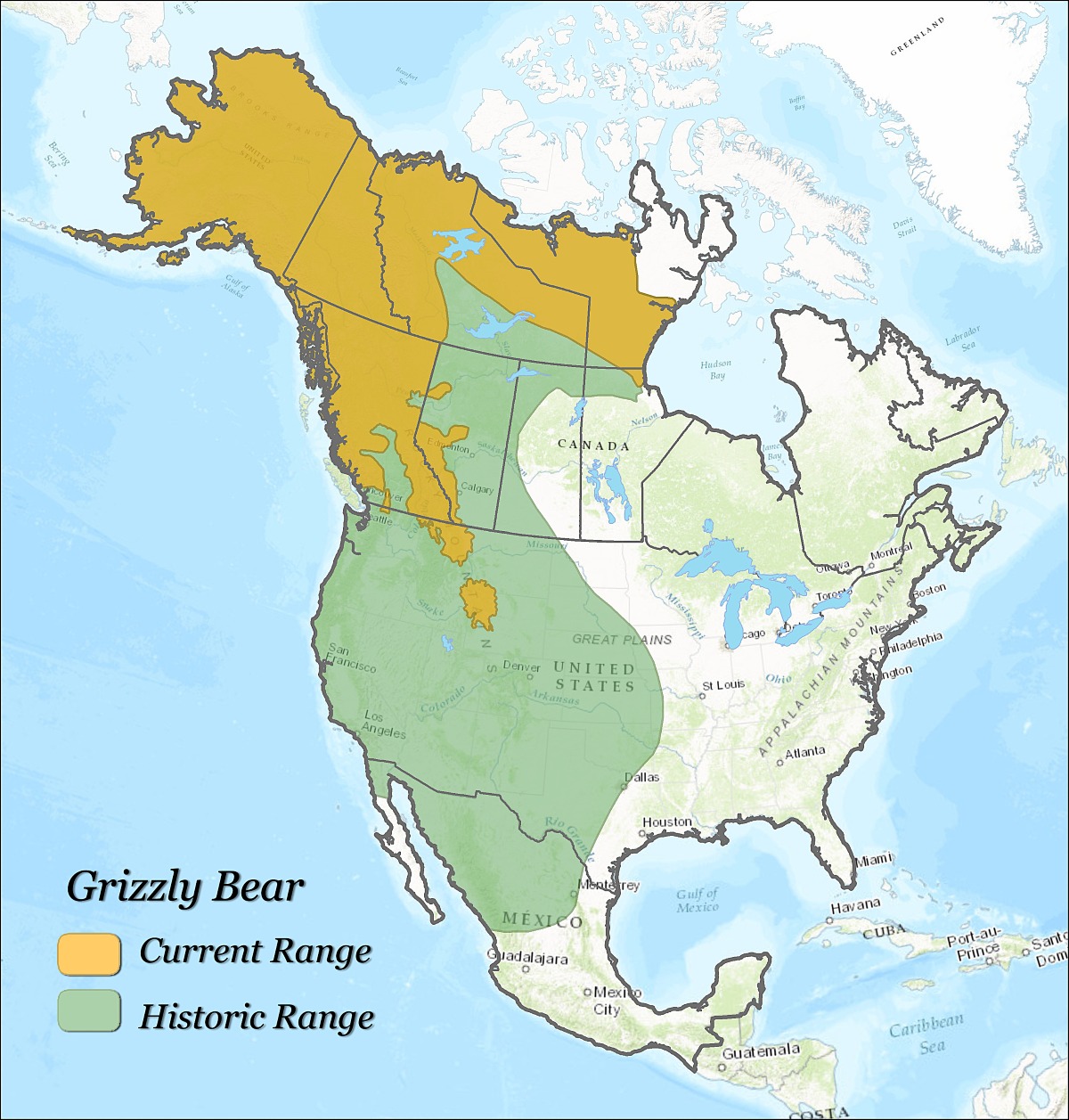 Amazing - Grizzly bear: historic range vs current range | Facebook