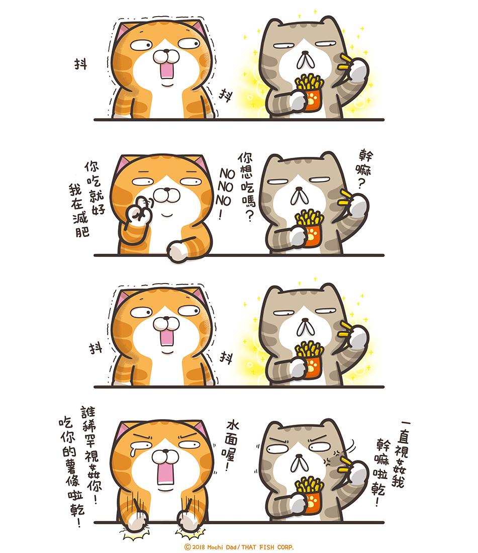 爛爛的綠豆眼出賣了他(◉◞౪◟◉) 🏠白爛貓家族俱樂部Lan Lan Cat