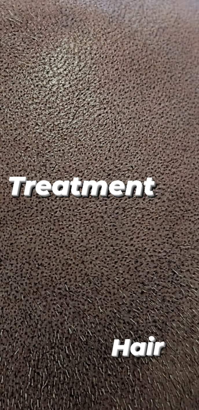 Octoink Scalp Micropigmentation