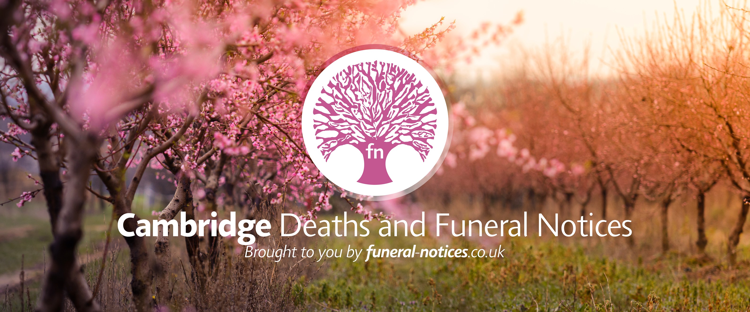 Cambridge Deaths and Funeral Notices