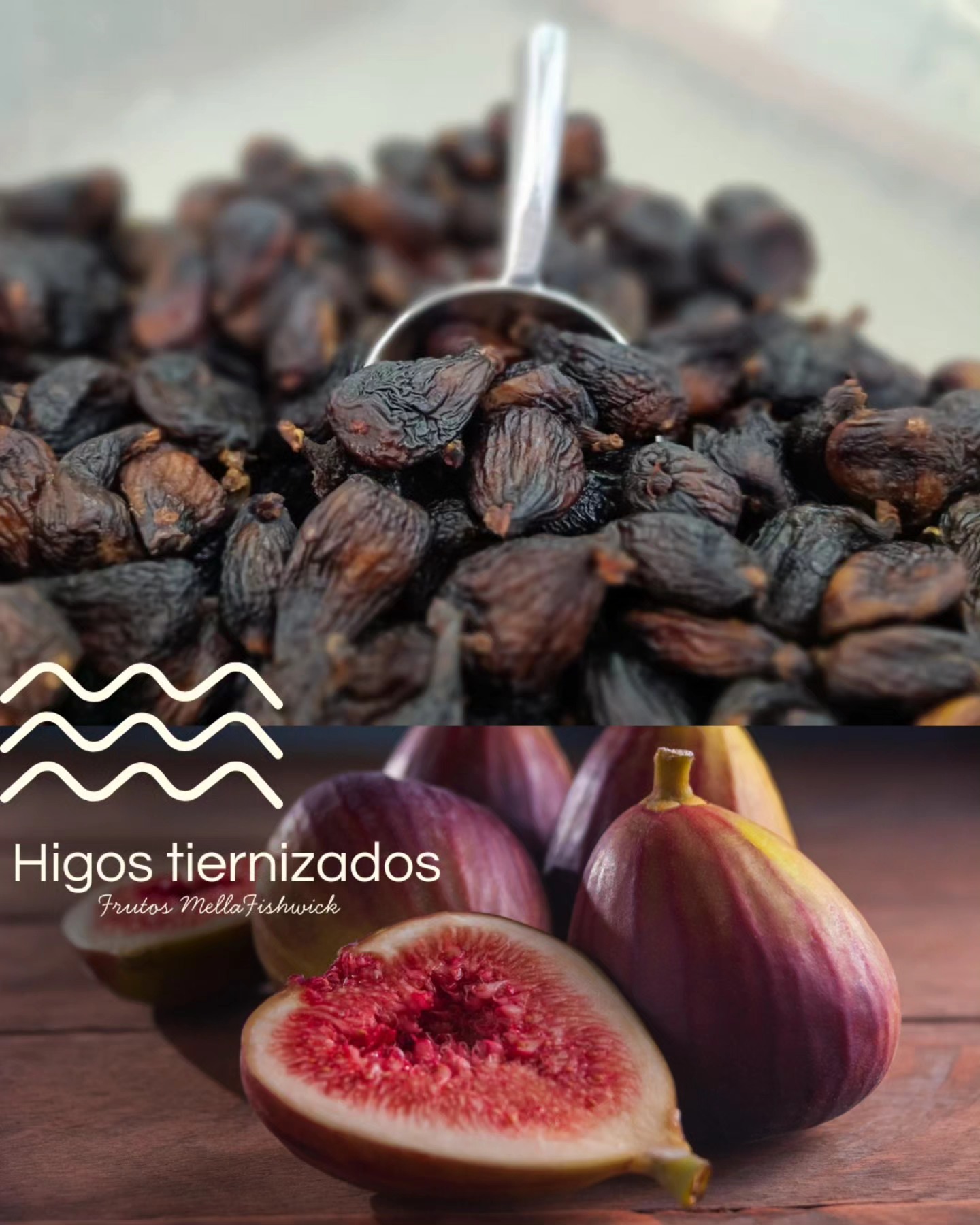 Frutos Secos MELLA FISH | Los Andes