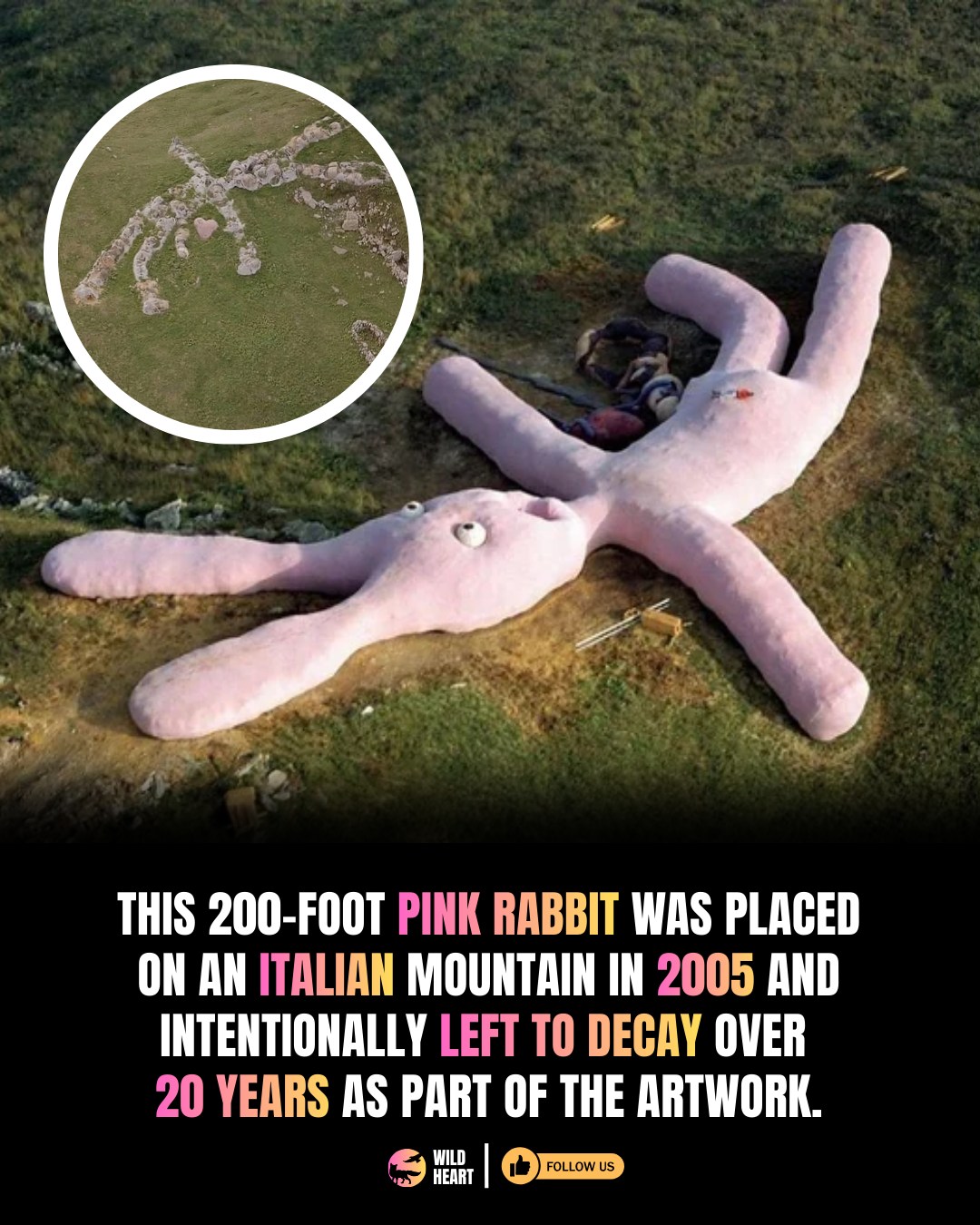 Wild - A 200-foot pink rabbit once sprawled across an Italian