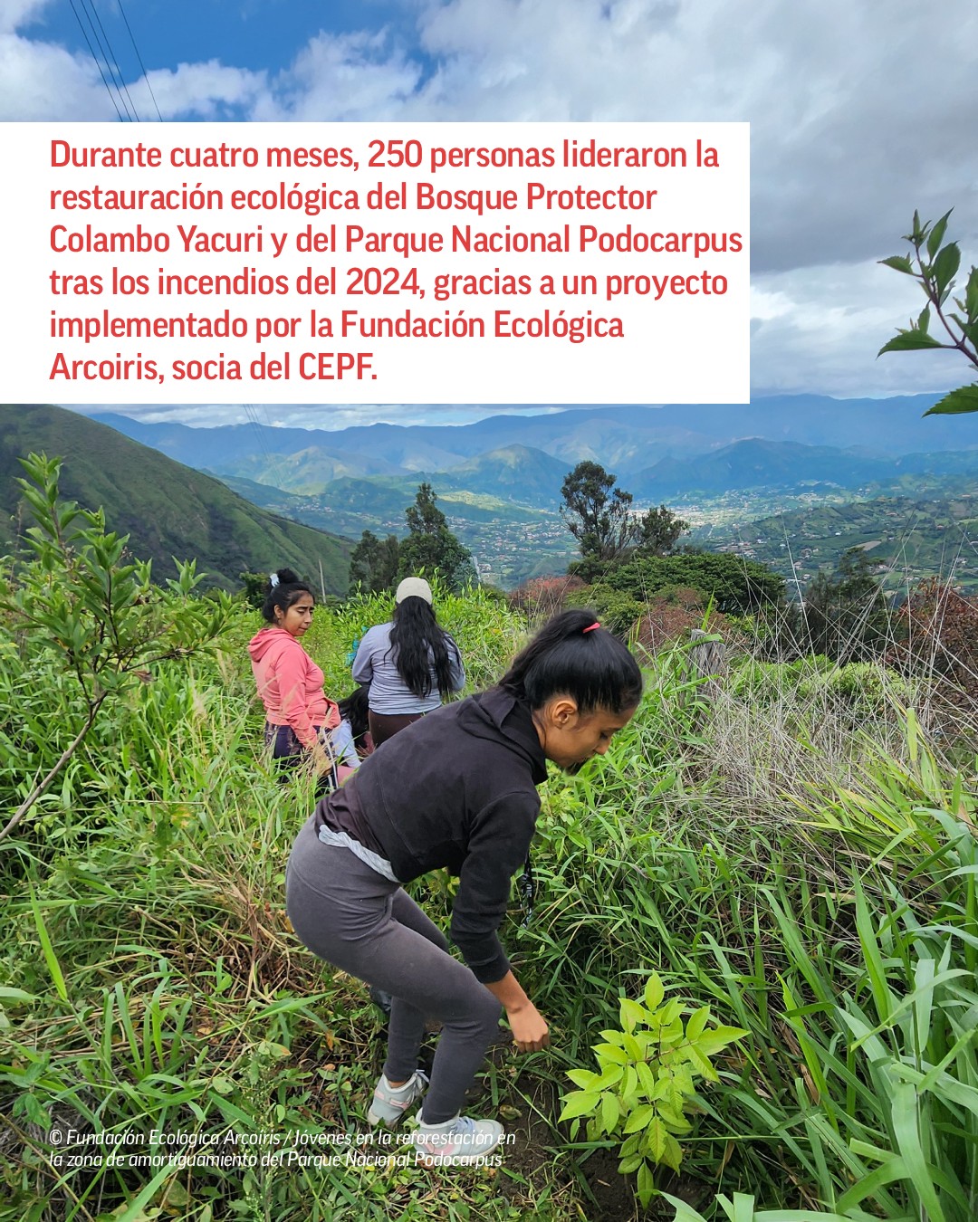 Fundación Ecológica... - Fundación Ecológica Arcoiris