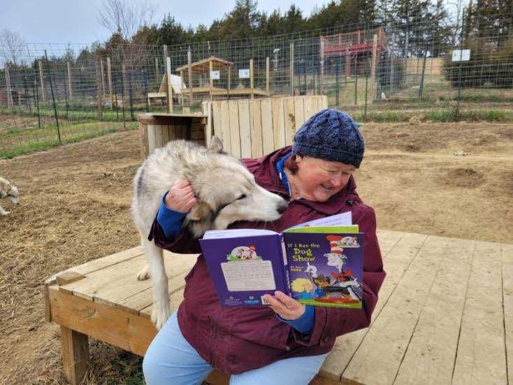 Final... - Red Riding Hood Rescue Project - a wolfdog rescue | Facebook